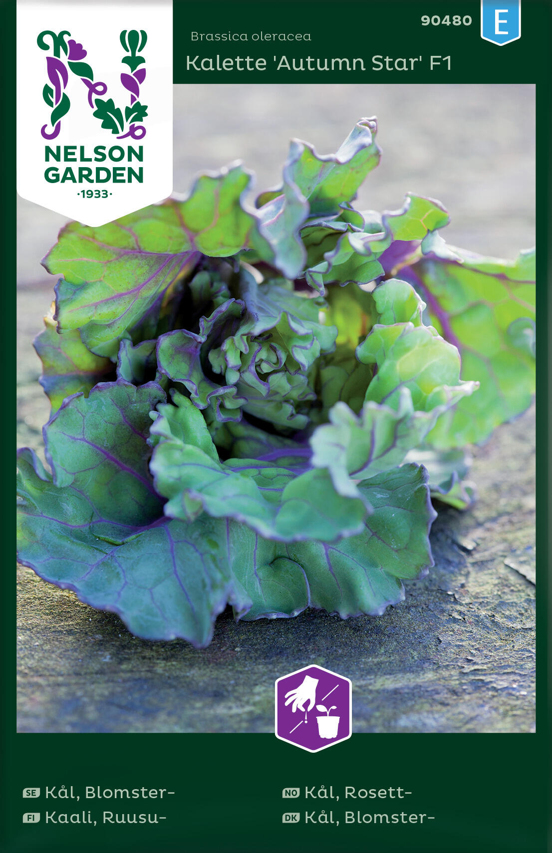 Rosettkål Kalette 'Autumn Star' F1